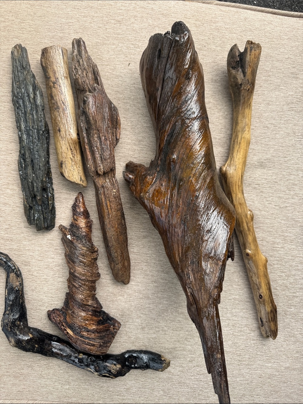 Pacific Northwest Natural Driftwood Coastal Collection Shellacked 7 pcs - Picture 6 of 8